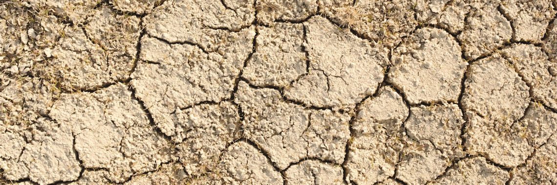 a close up of a cracked surface of dirt